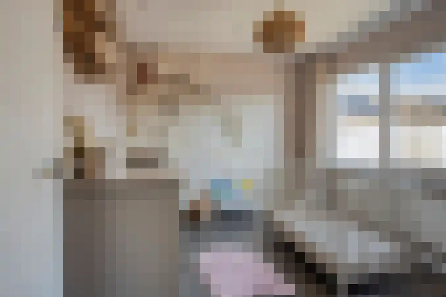 Vlierstraat 3 Asten thumbnail 19