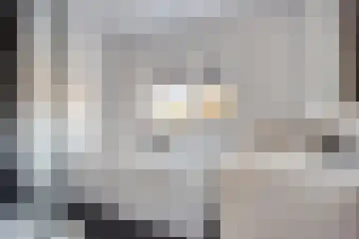 Vlierstraat 3 Asten thumbnail 21