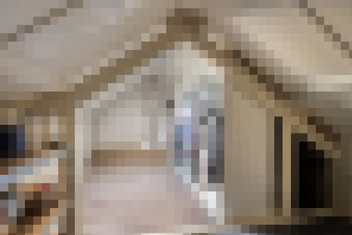 Vlierstraat 3 Asten thumbnail 23