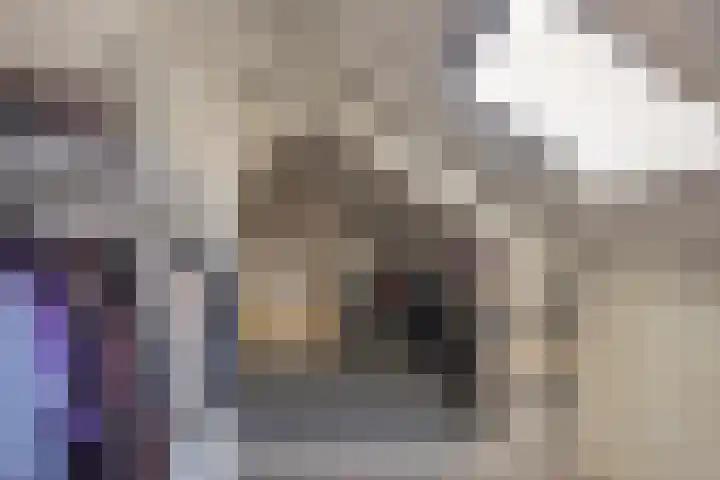 Vlierstraat 3 Asten thumbnail 24