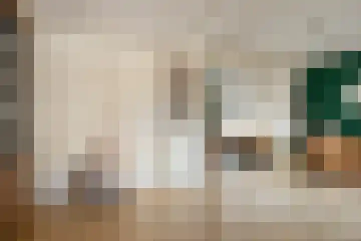 Vlierstraat 3 Asten thumbnail 6