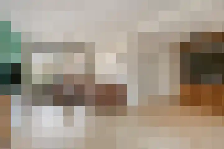 Vlierstraat 3 Asten thumbnail 8