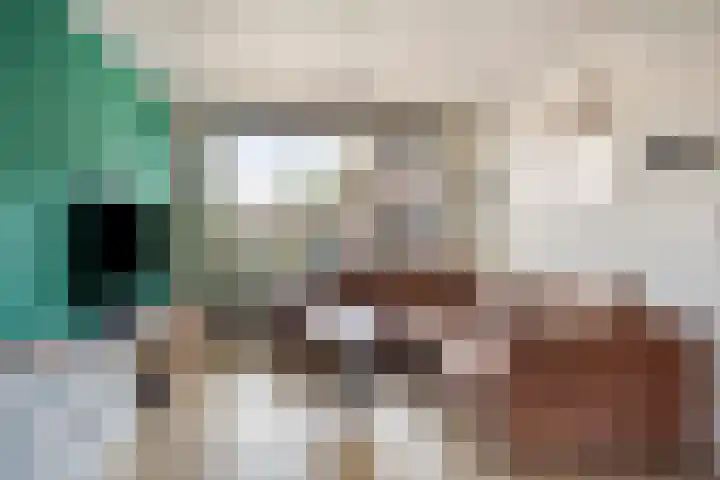Vlierstraat 3 Asten thumbnail 9