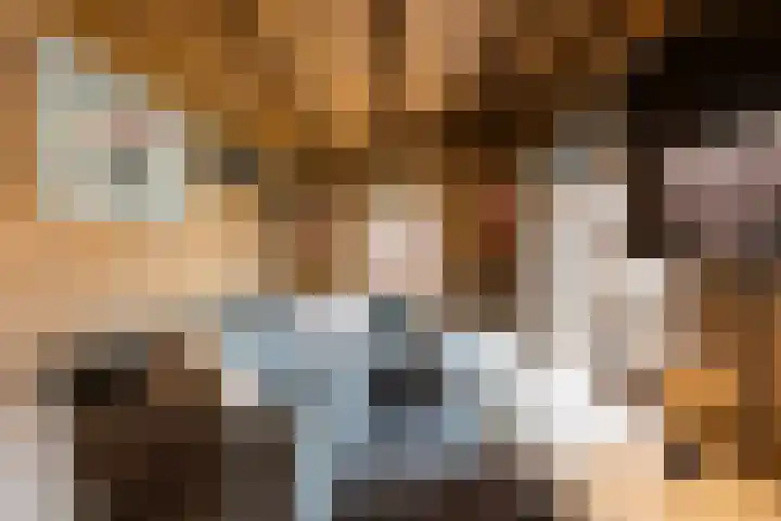 Vlierstraat 36 Wezep thumbnail 25