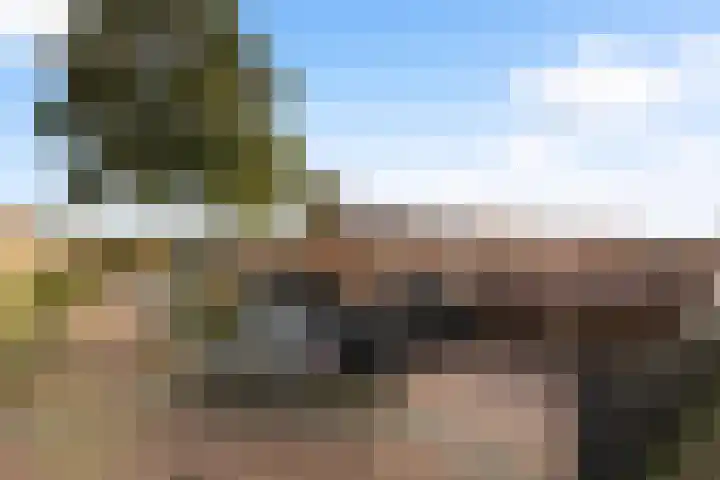 Vlierstraat 36 Wezep thumbnail 30