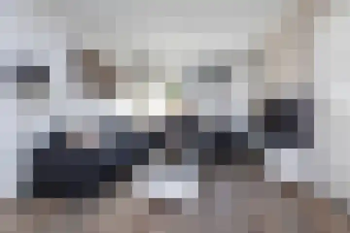 Vlierstraat 36 Wezep thumbnail 8