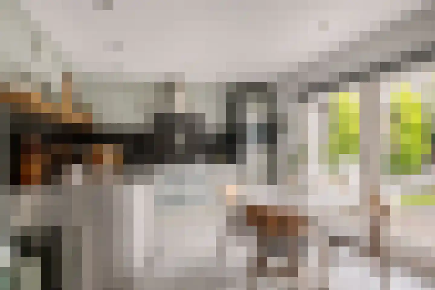 Vlierstraat 43 Huissen thumbnail 10