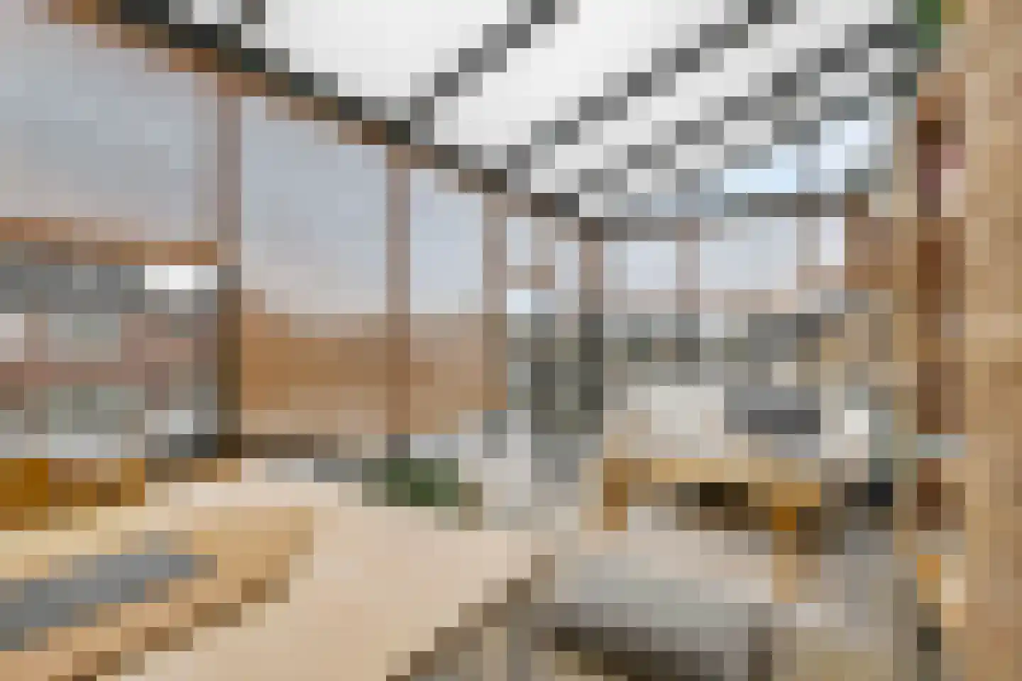 Vlierstraat 43 Huissen thumbnail 24
