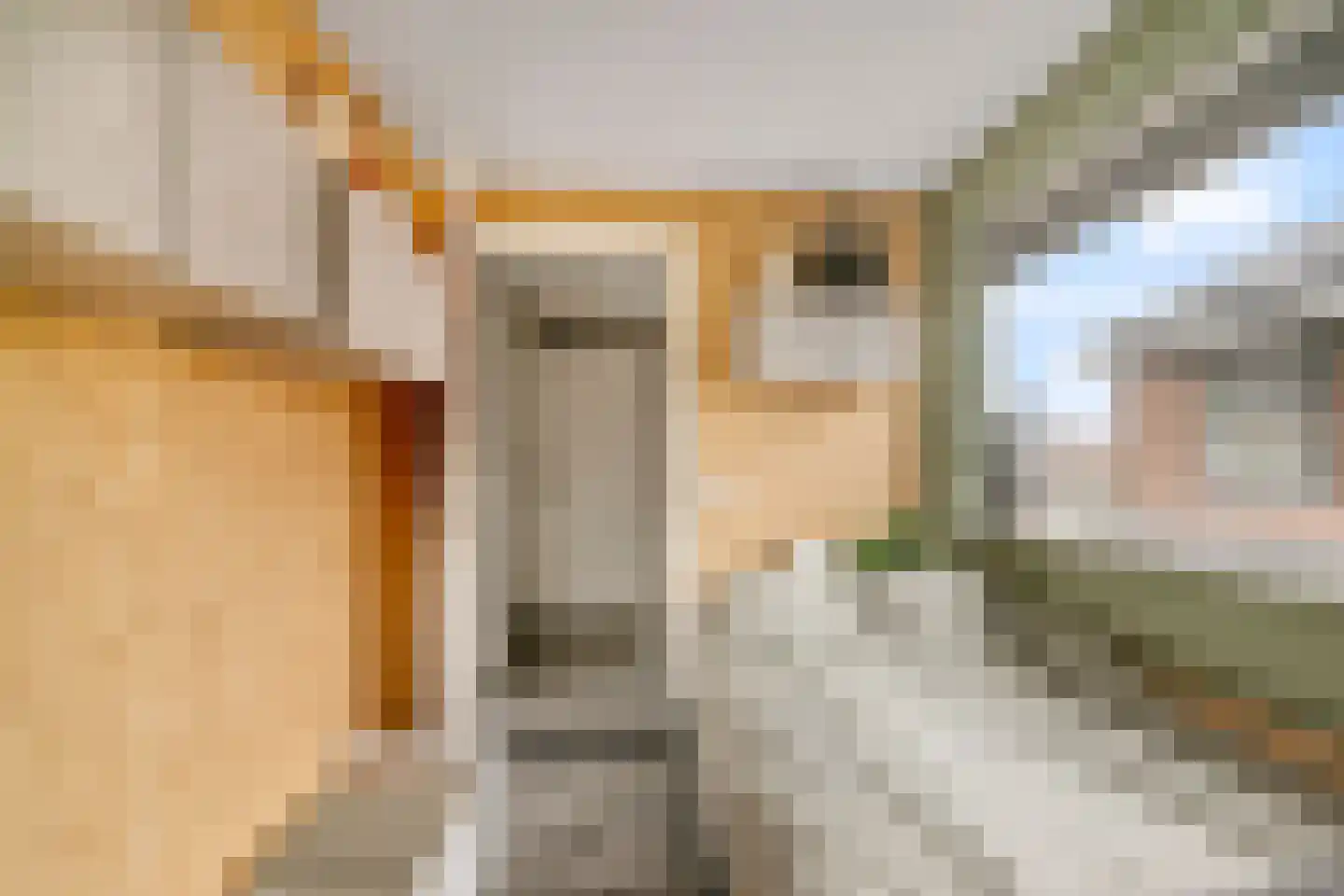 Vlierstraat 43 Huissen thumbnail 25