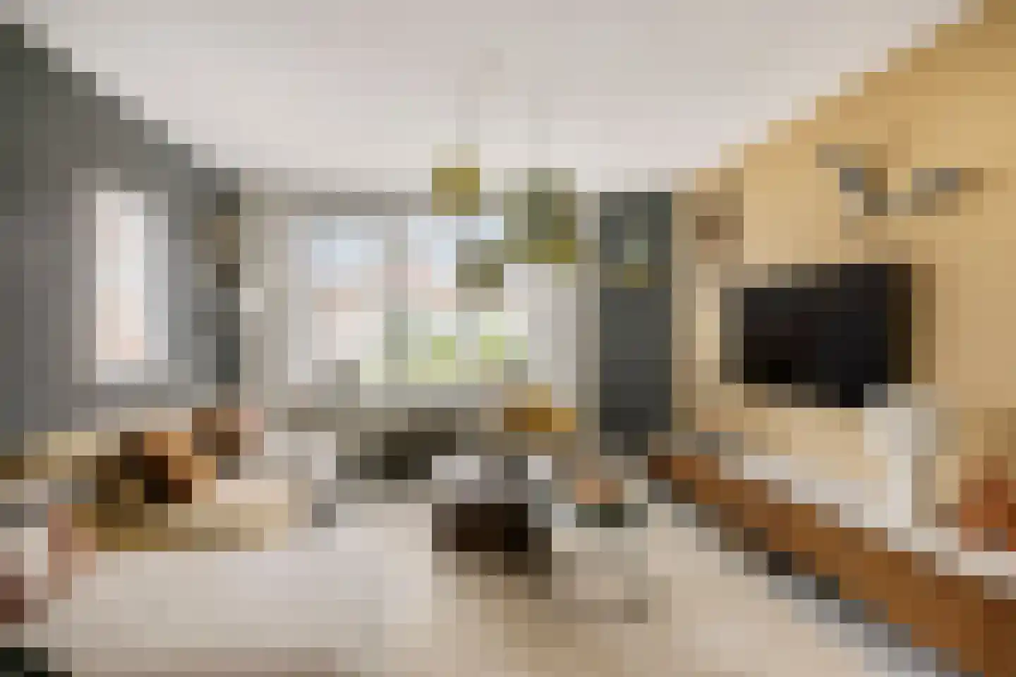 Vlierstraat 43 Huissen thumbnail 6