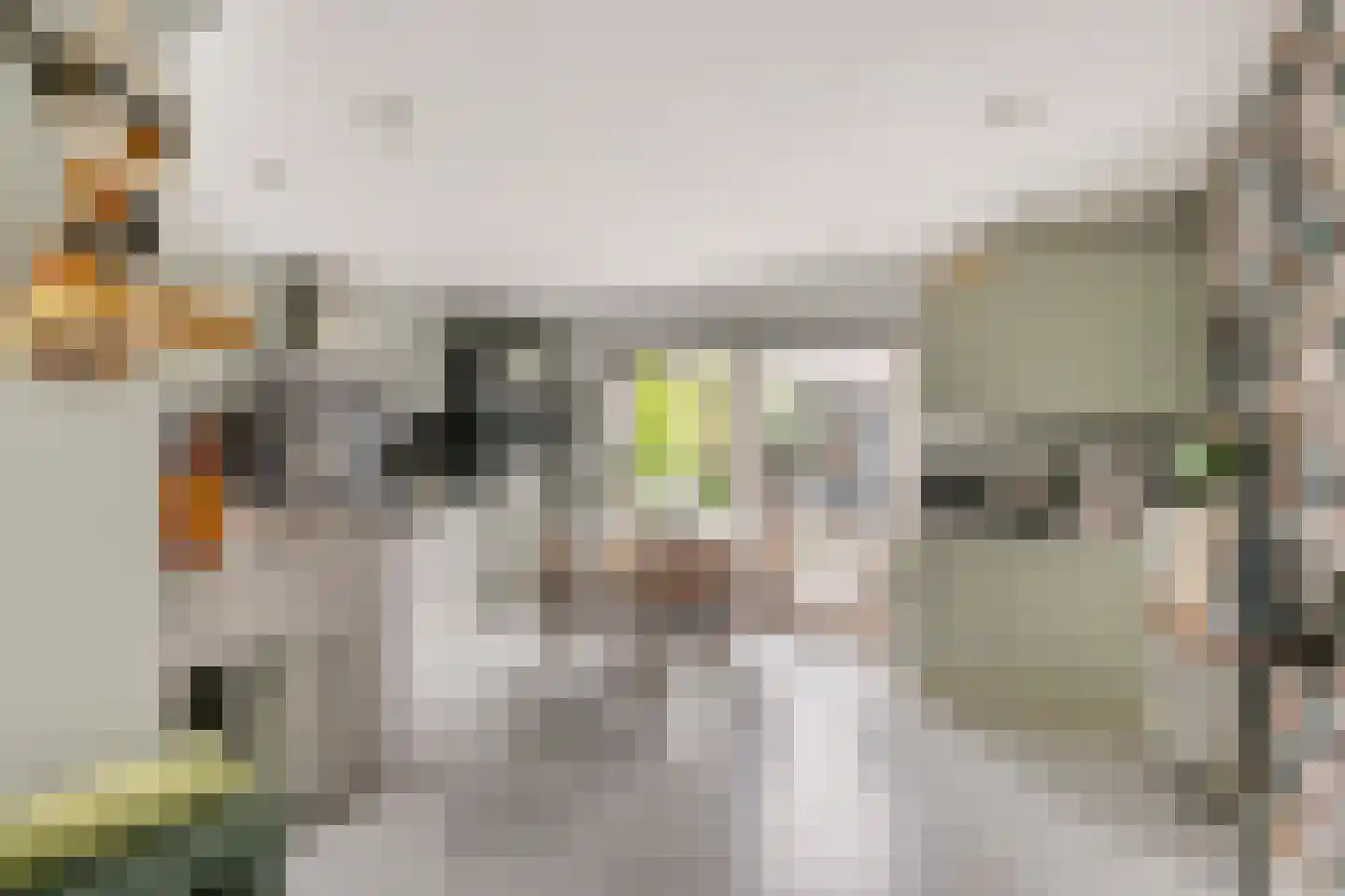 Vlierstraat 43 Huissen thumbnail 9