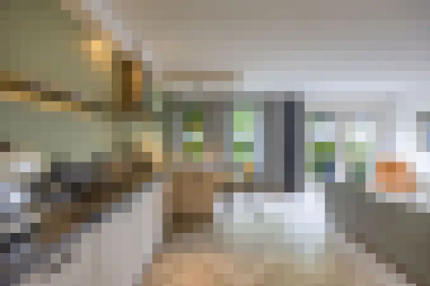 Vlierstraat 53 Venray thumbnail 15