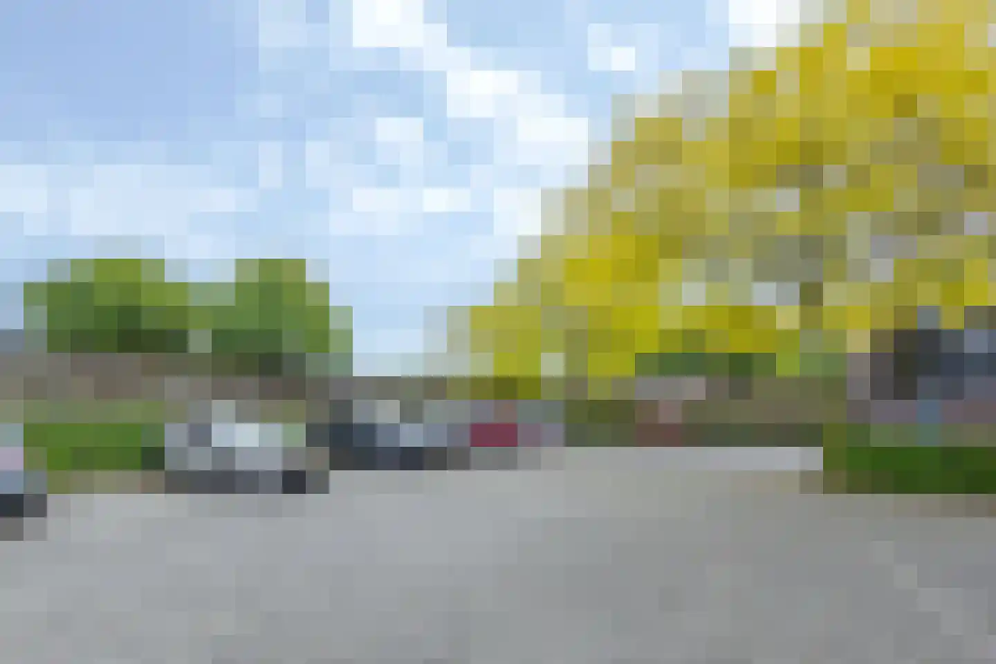 Vlierstraat 53 Venray thumbnail 24