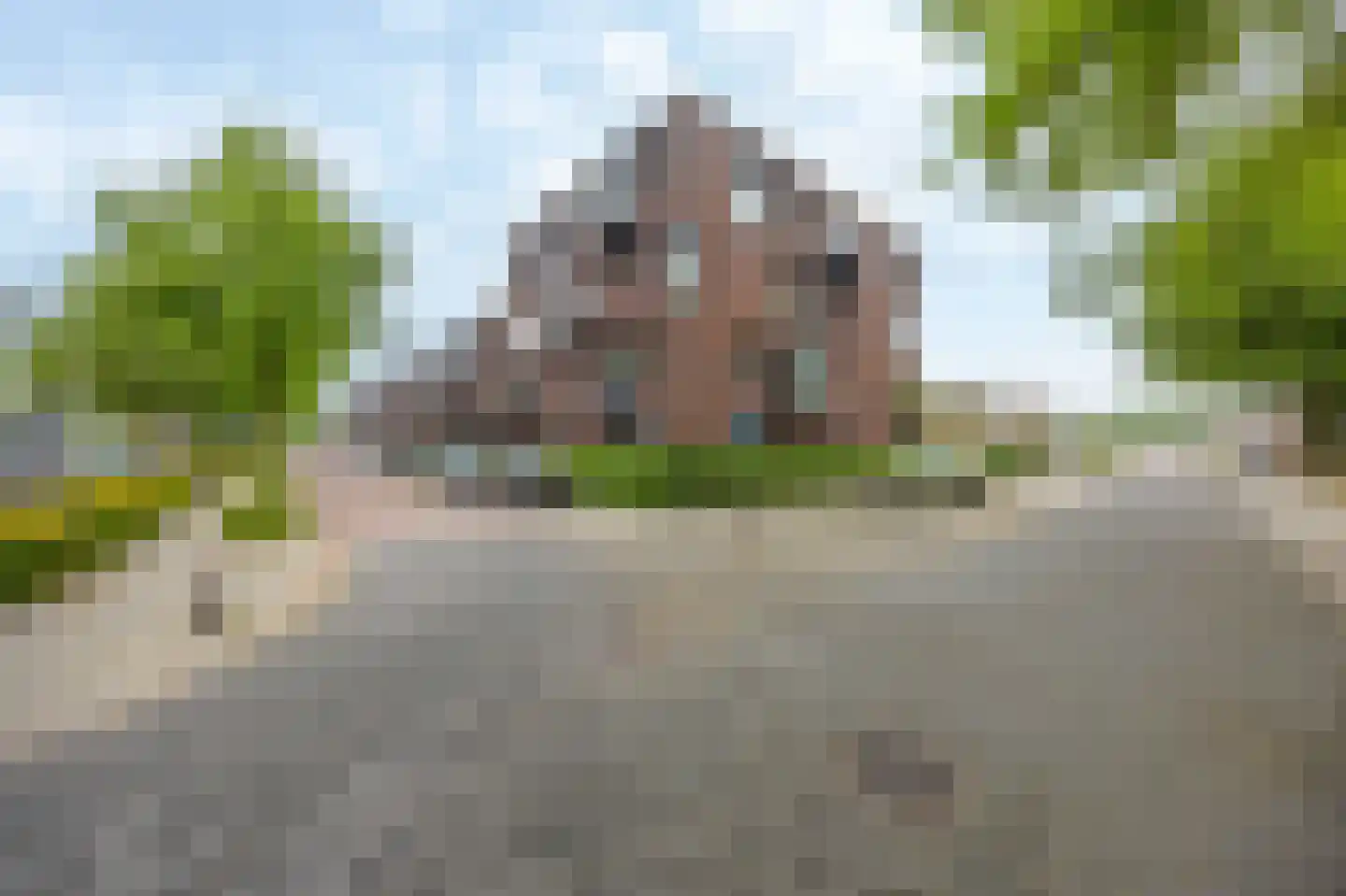Vlierstraat 53 Venray thumbnail 26