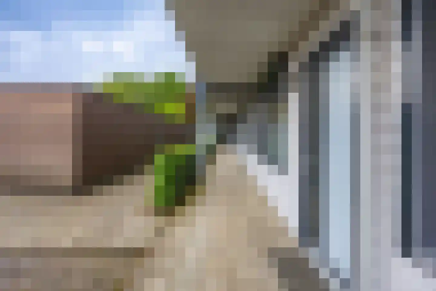 Vlierstraat 53 Venray thumbnail 4