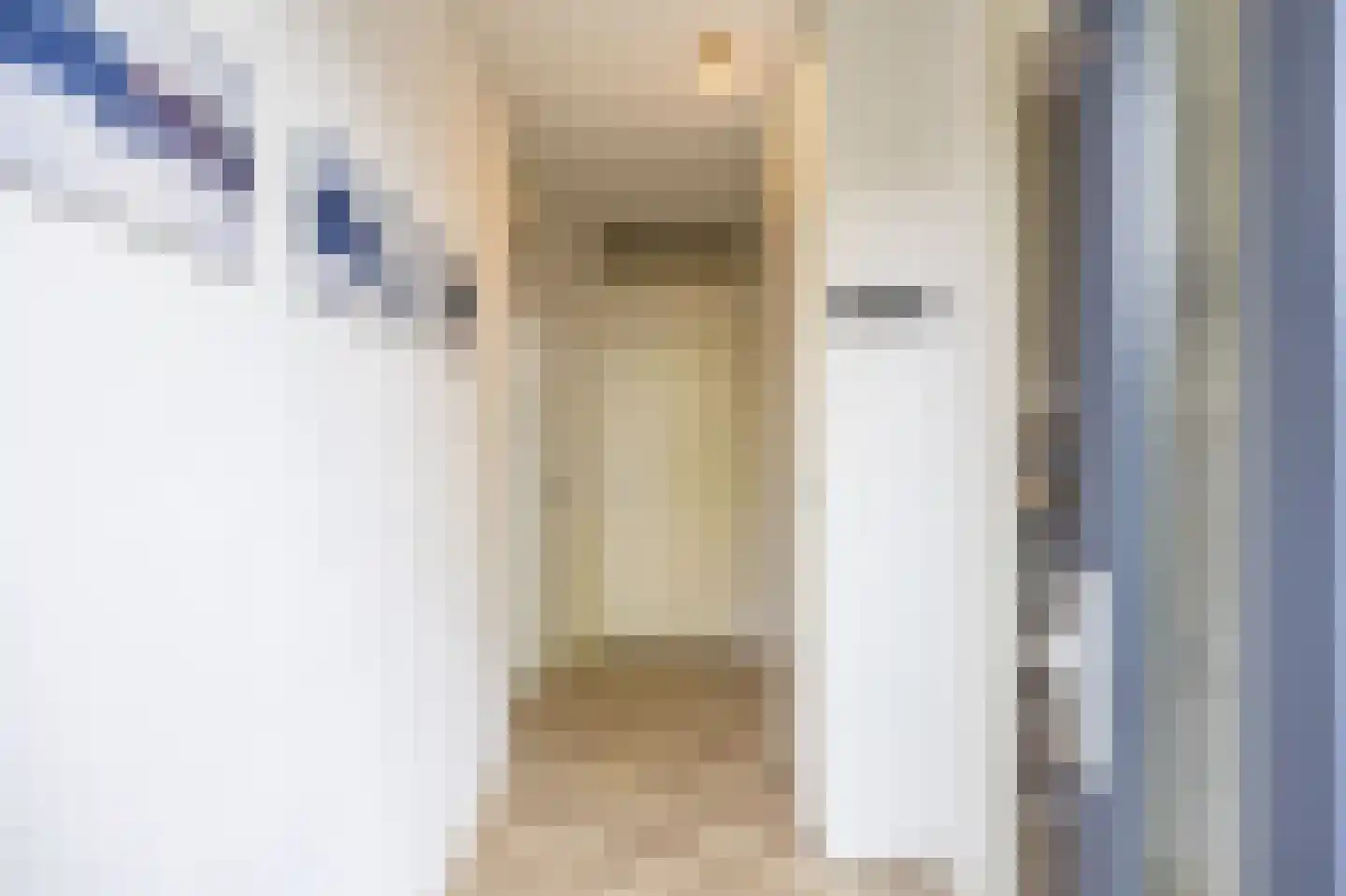 Vlierstraat 53 Venray thumbnail 6