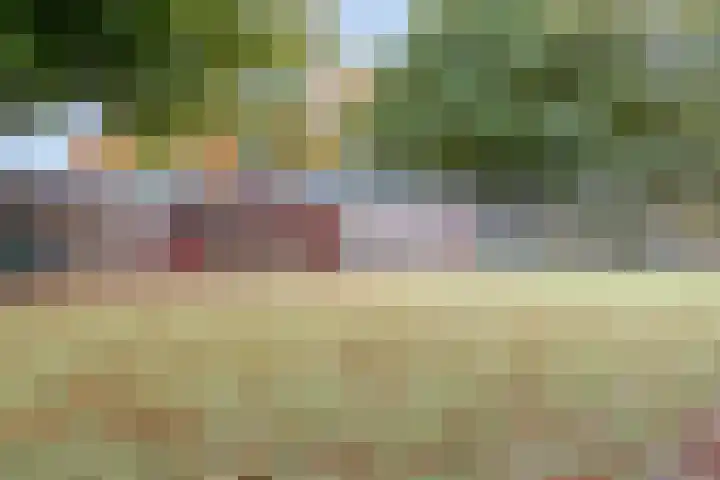 Vlierstraat 54 Venray thumbnail 32