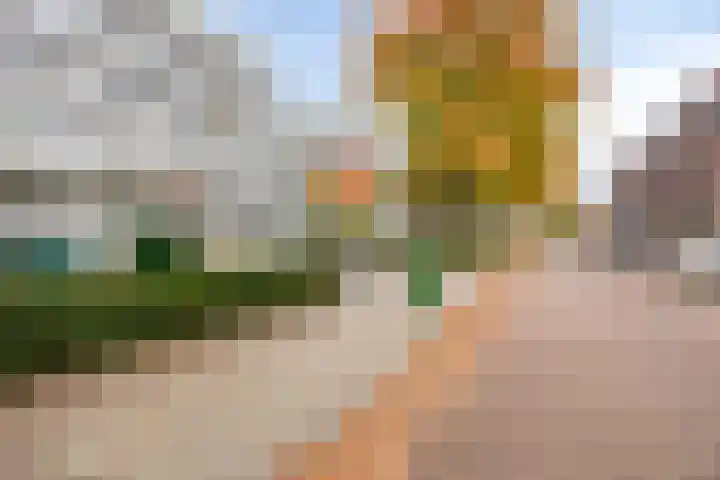 Vlierstraat 54 Venray thumbnail 7