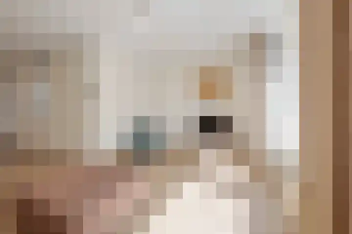 Vlierstraat 7 Echt thumbnail 10