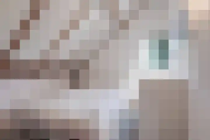 Vlierstraat 7 Echt thumbnail 27