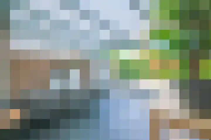 Vlierstraat 7 Echt thumbnail 31