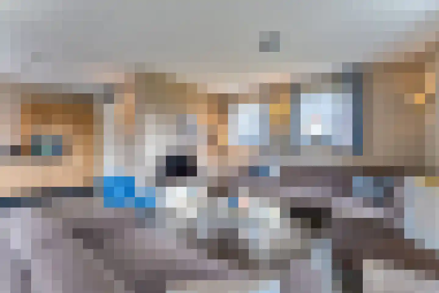 Vlierstraat 7 Echt thumbnail 34