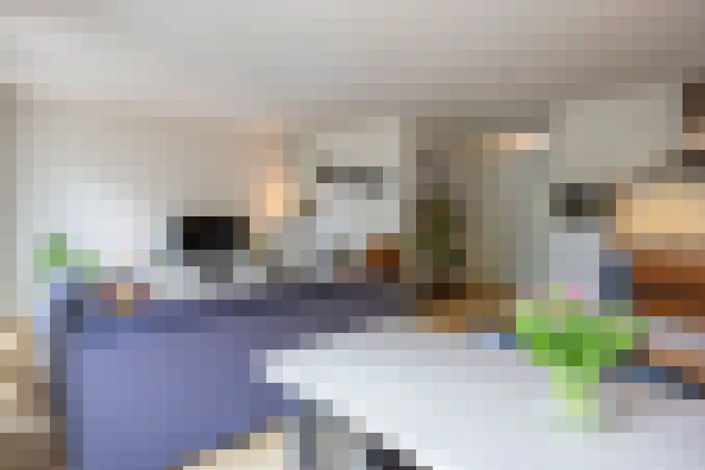 Vlierstraat 75 Venray thumbnail 15