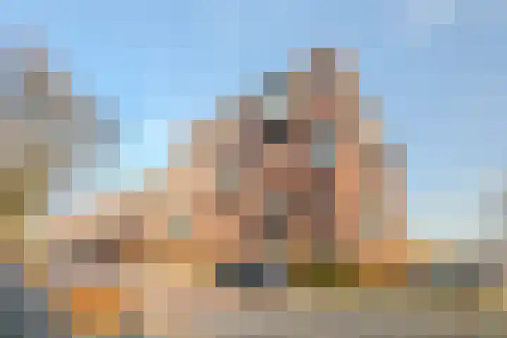 Vlierstraat 77 in Venray