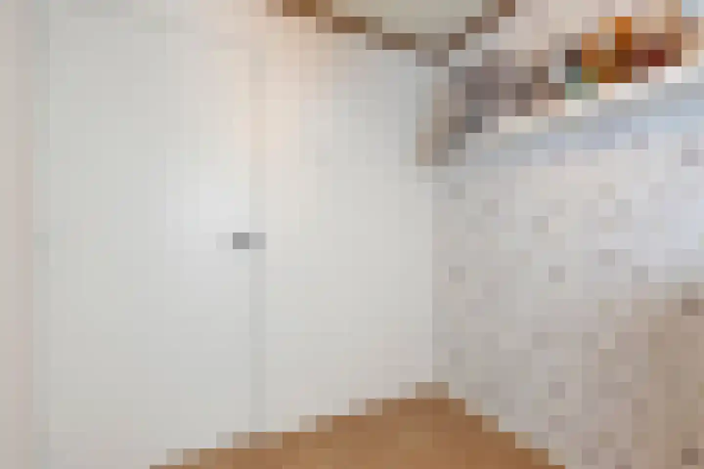 Vlierstraat 9 Oudenbosch thumbnail 20