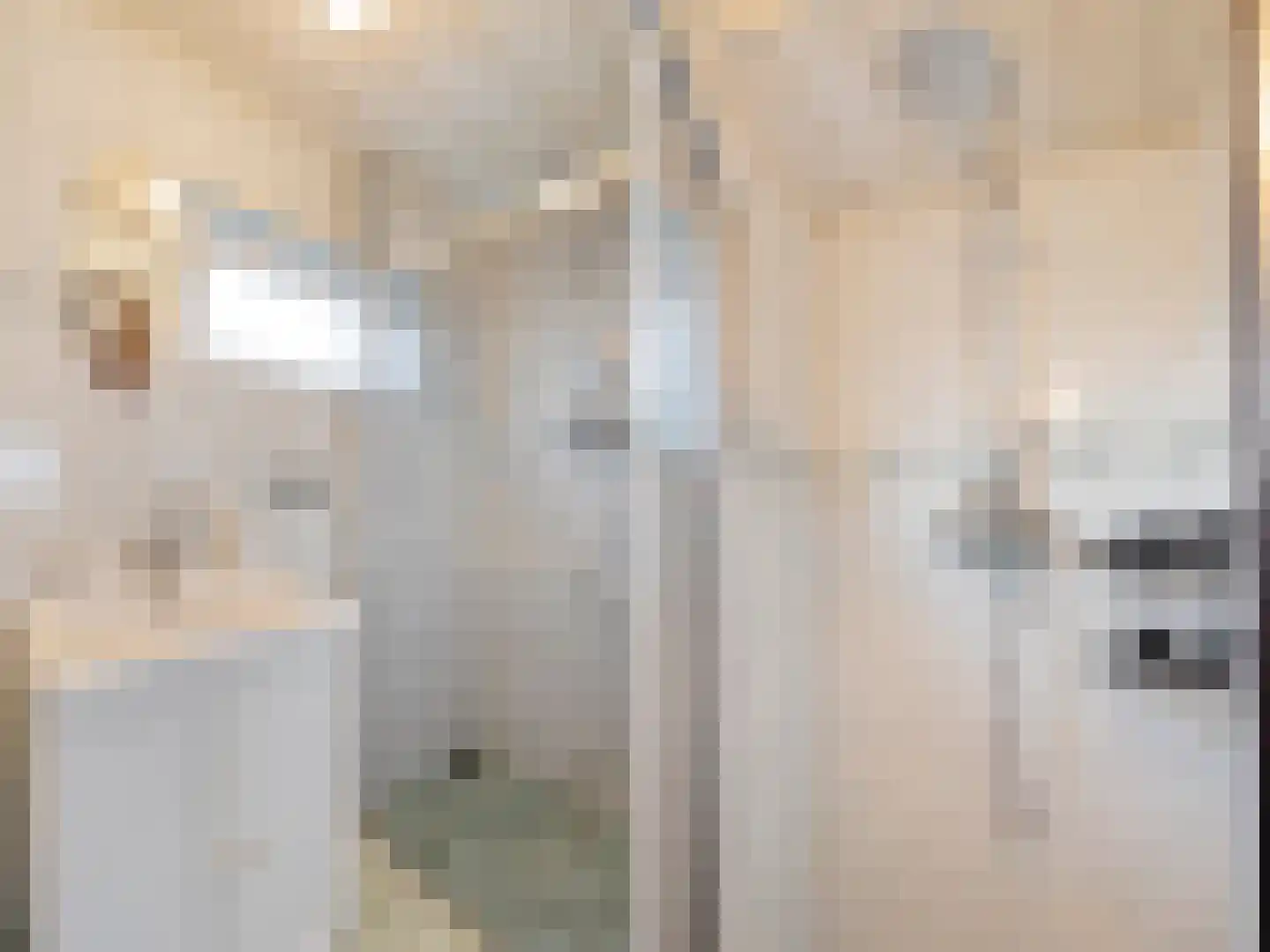 Vlierstraat 9 Oudenbosch thumbnail 25
