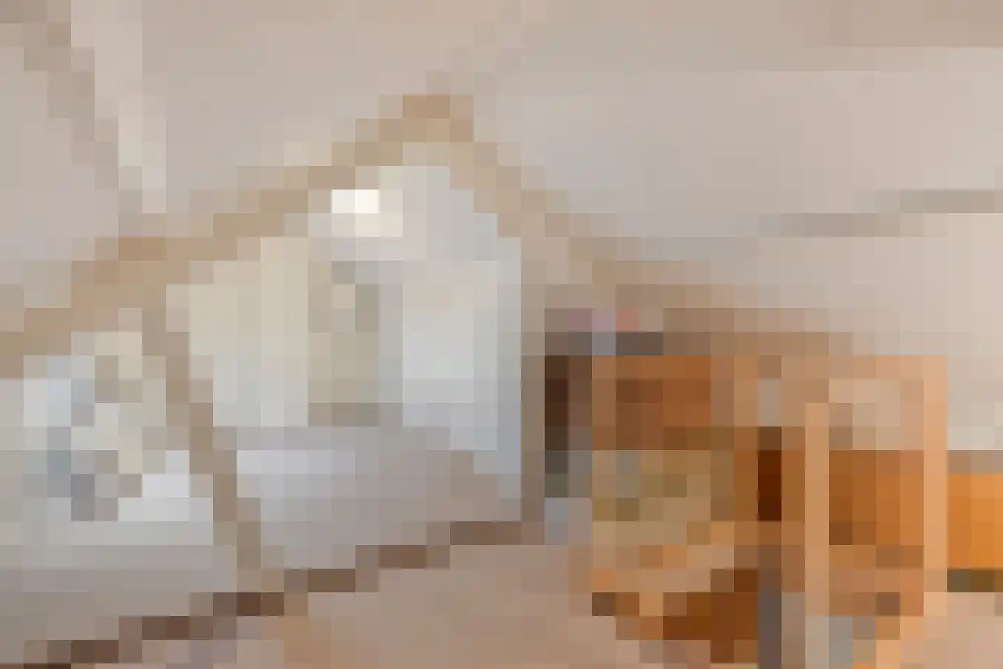 Vlierstraat 9 Oudenbosch thumbnail 30