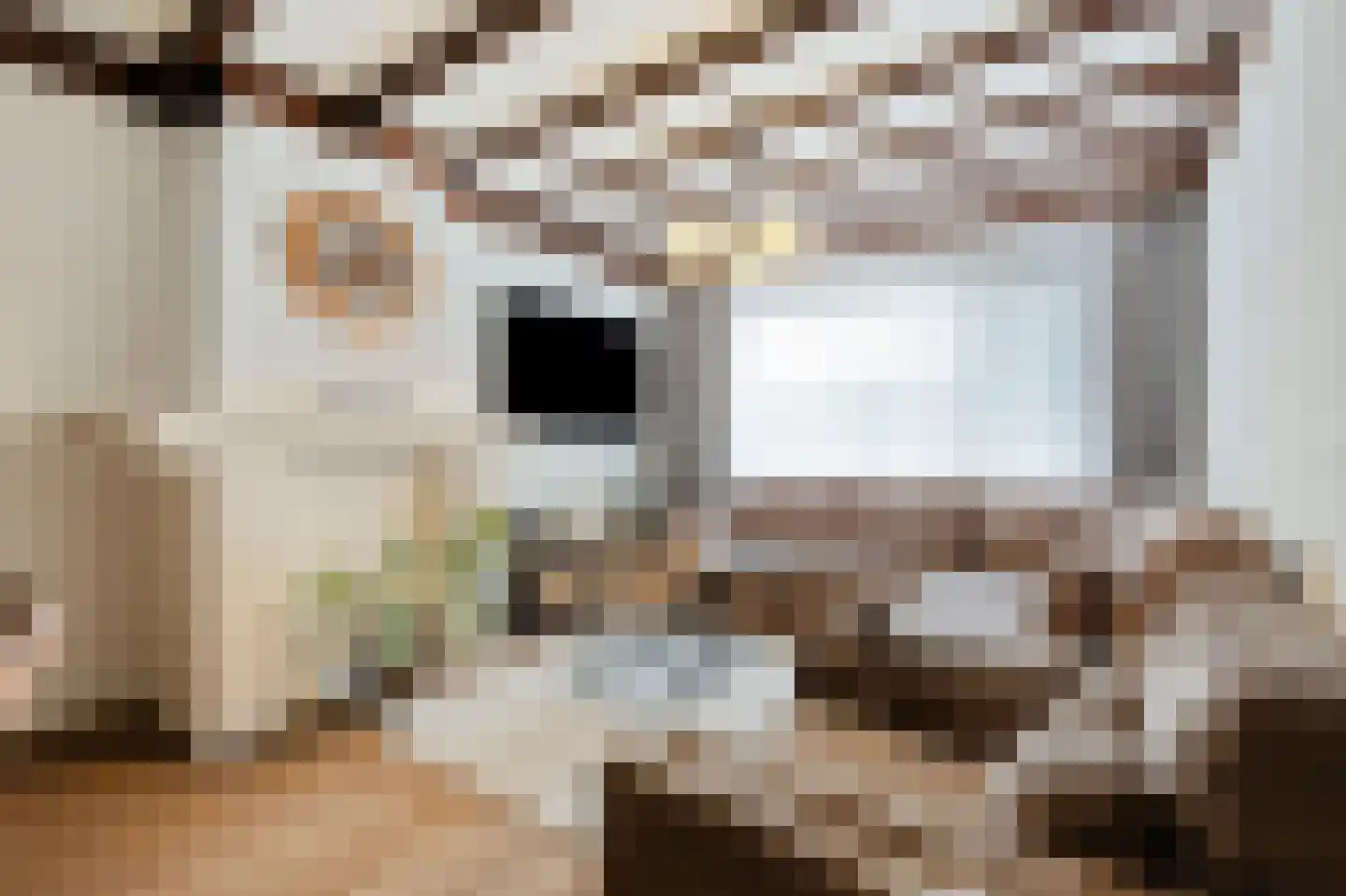 Vlierstraat 9 Oudenbosch thumbnail 4