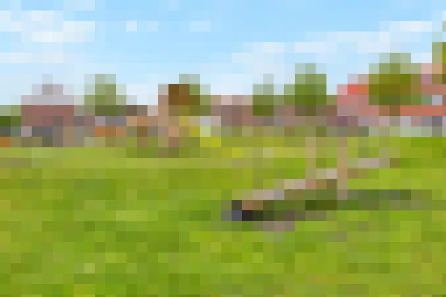 Vlierstraat 9 Oudenbosch thumbnail 45