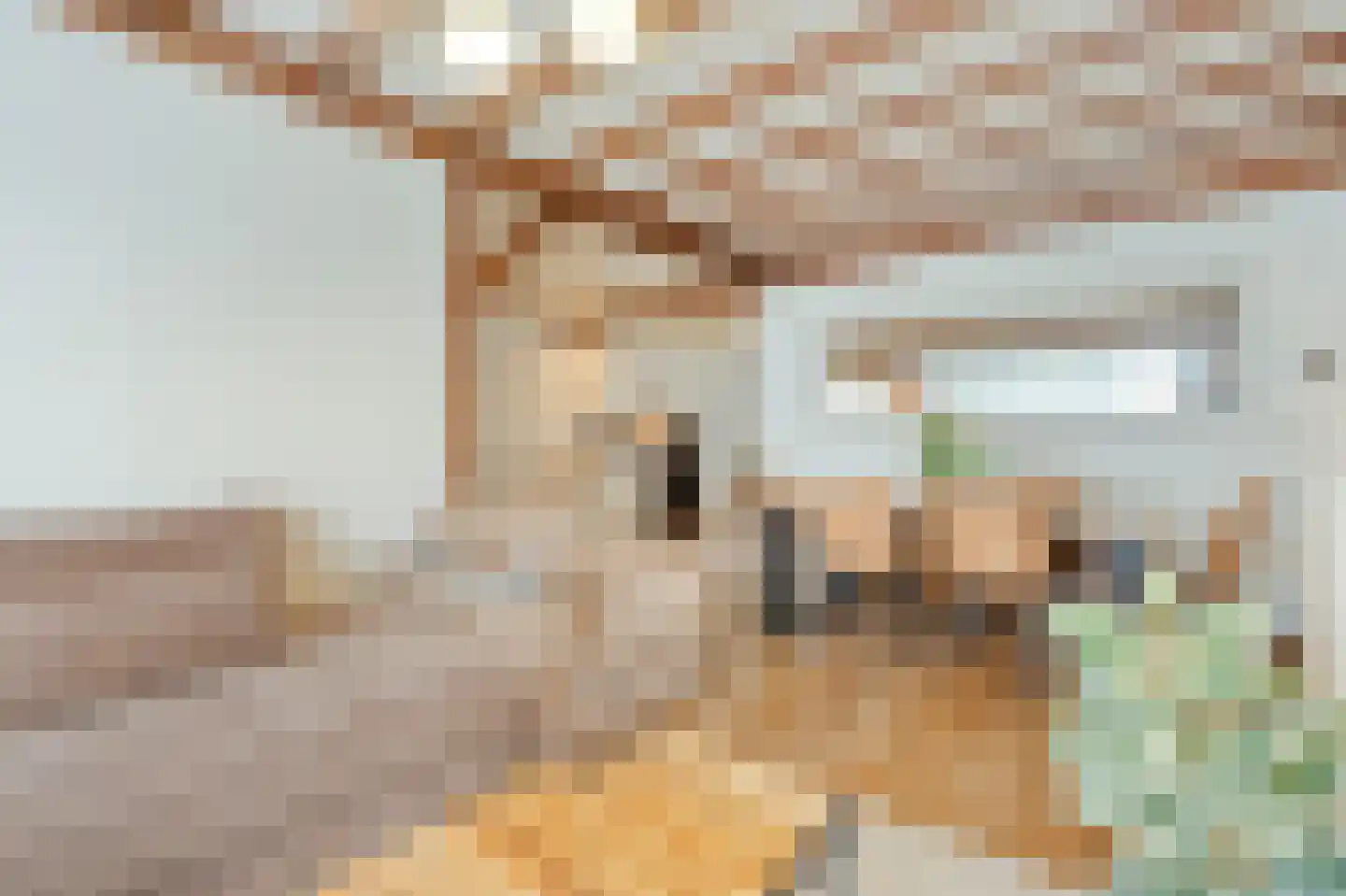 Vlierstraat 9 Oudenbosch thumbnail 6