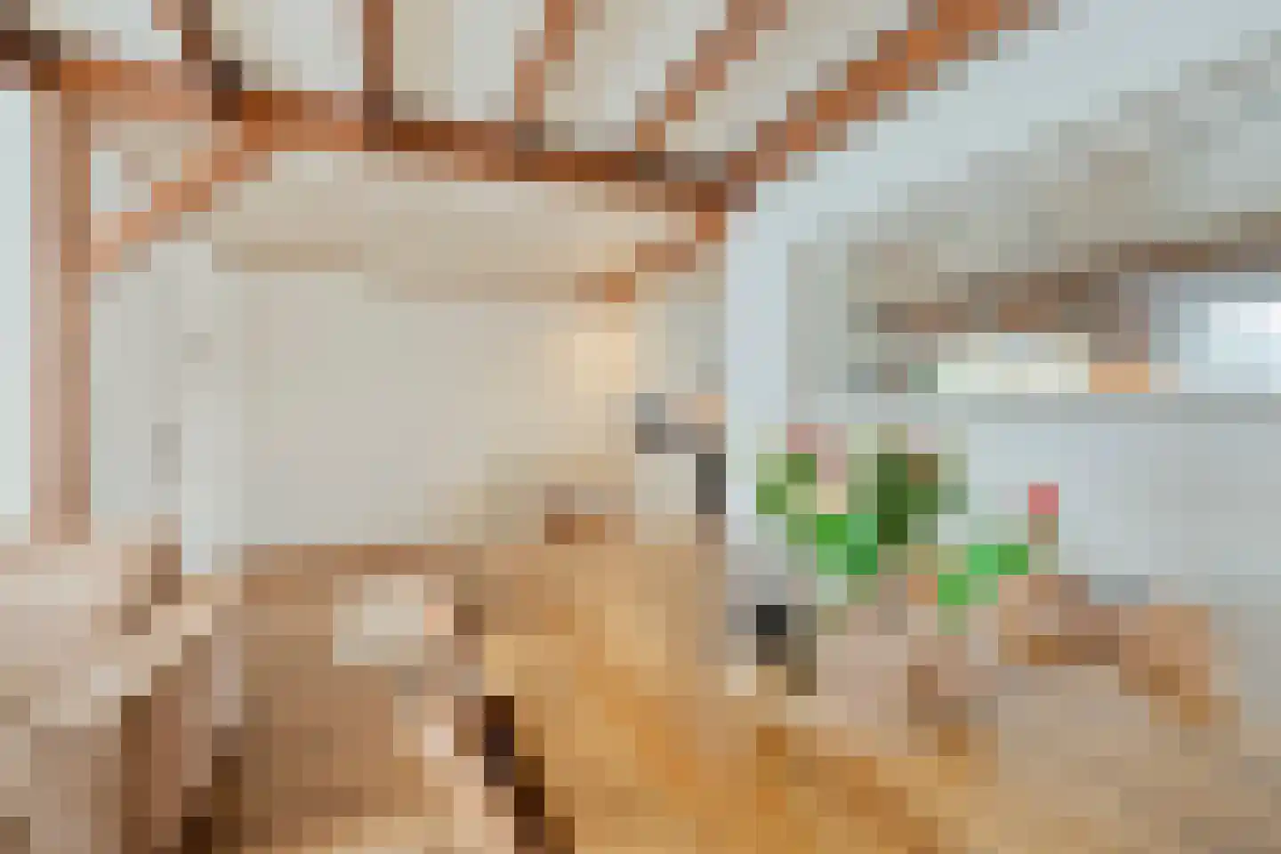 Vlierstraat 9 Oudenbosch thumbnail 7