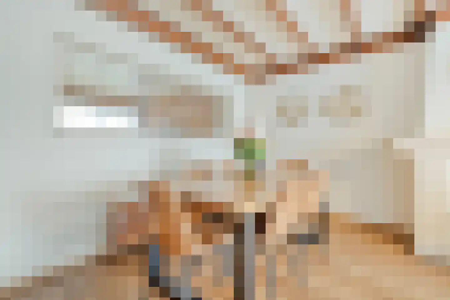 Vlierstraat 9 Oudenbosch thumbnail 8