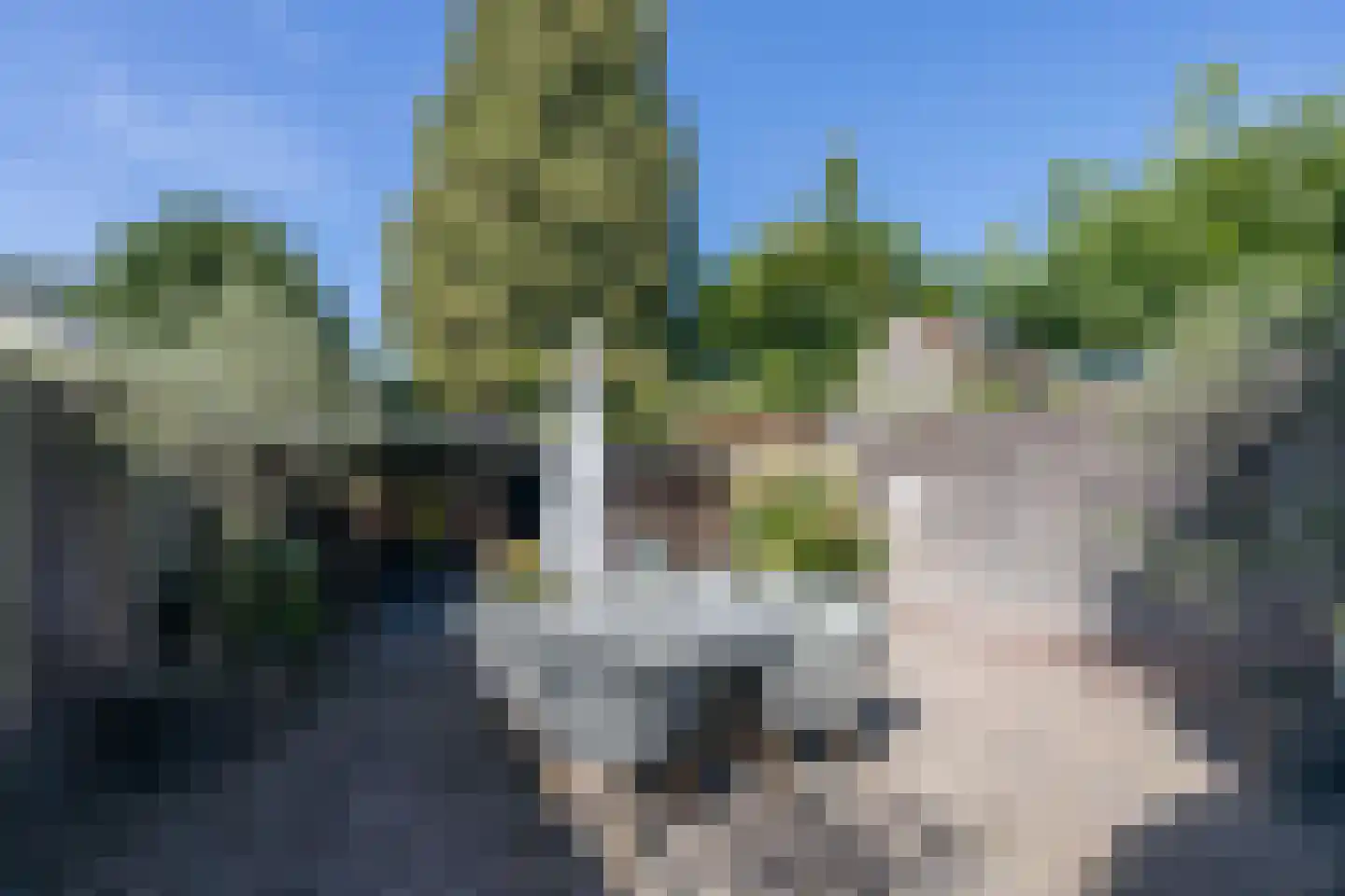 Vliertstraat 38 Vught thumbnail 29