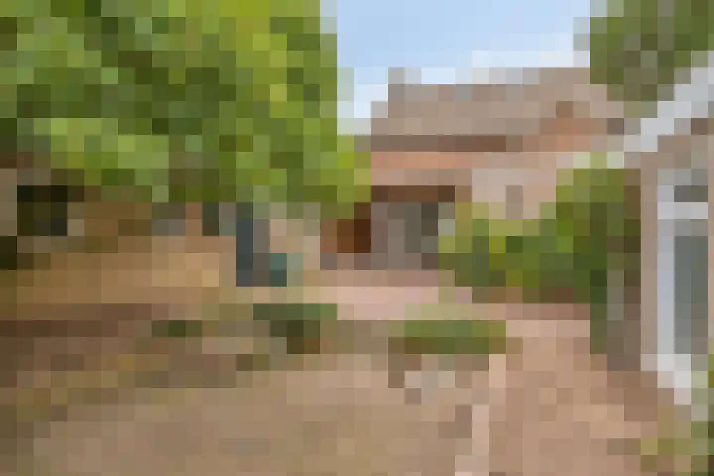 Vliertwijksestraat 12 Rosmalen thumbnail 24