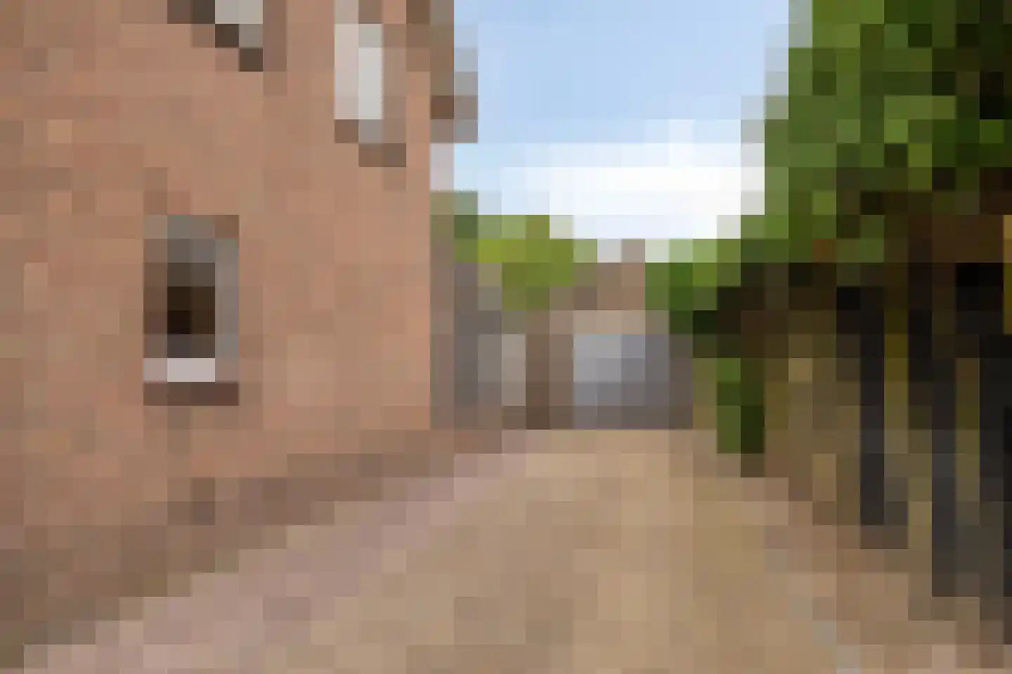Vliertwijksestraat 12 Rosmalen thumbnail 33