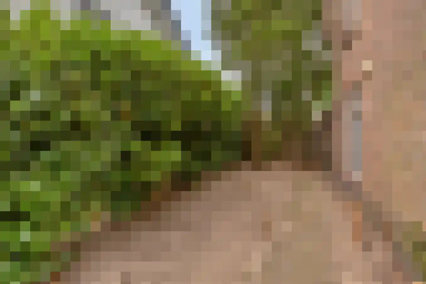 Vliertwijksestraat 12 Rosmalen thumbnail 34