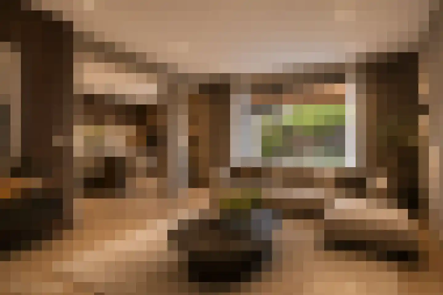 Vliertwijksestraat 12 Rosmalen thumbnail 7