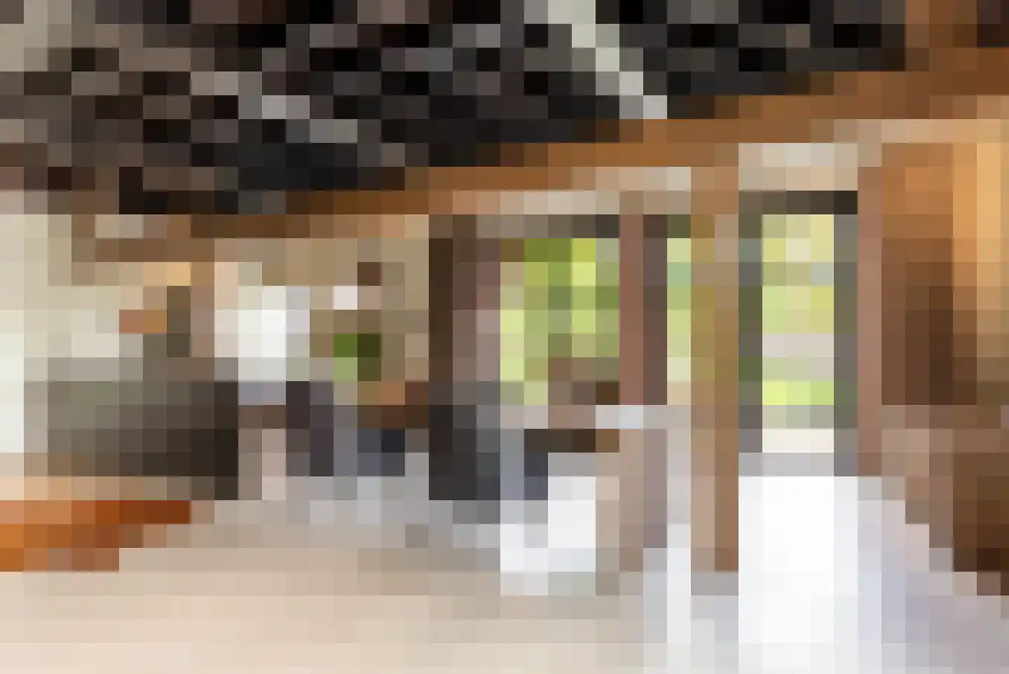Vliertwijksestraat 50 Rosmalen thumbnail 10
