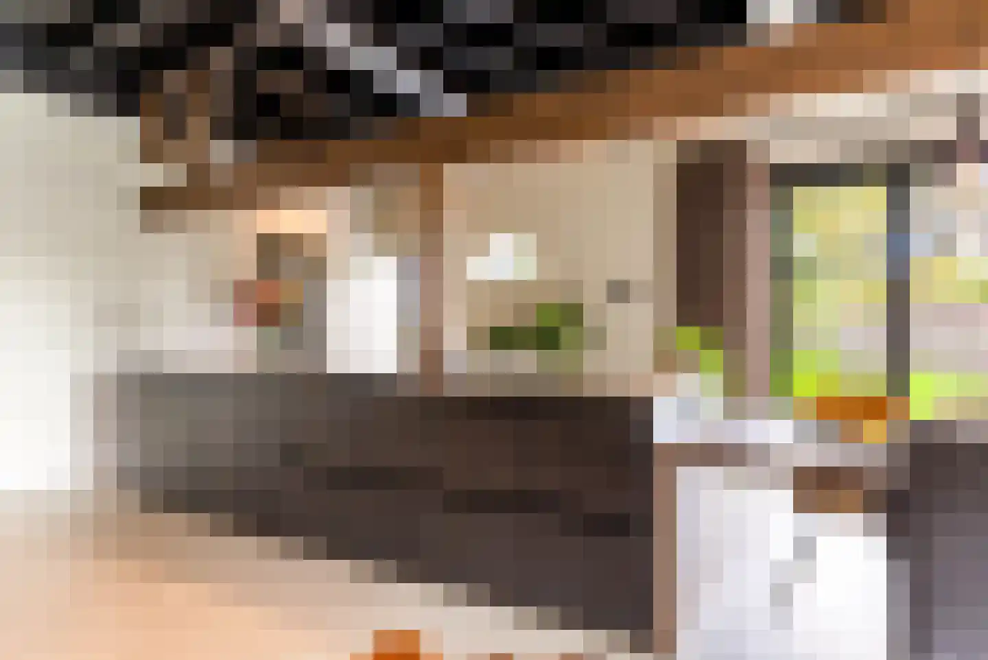 Vliertwijksestraat 50 Rosmalen thumbnail 12