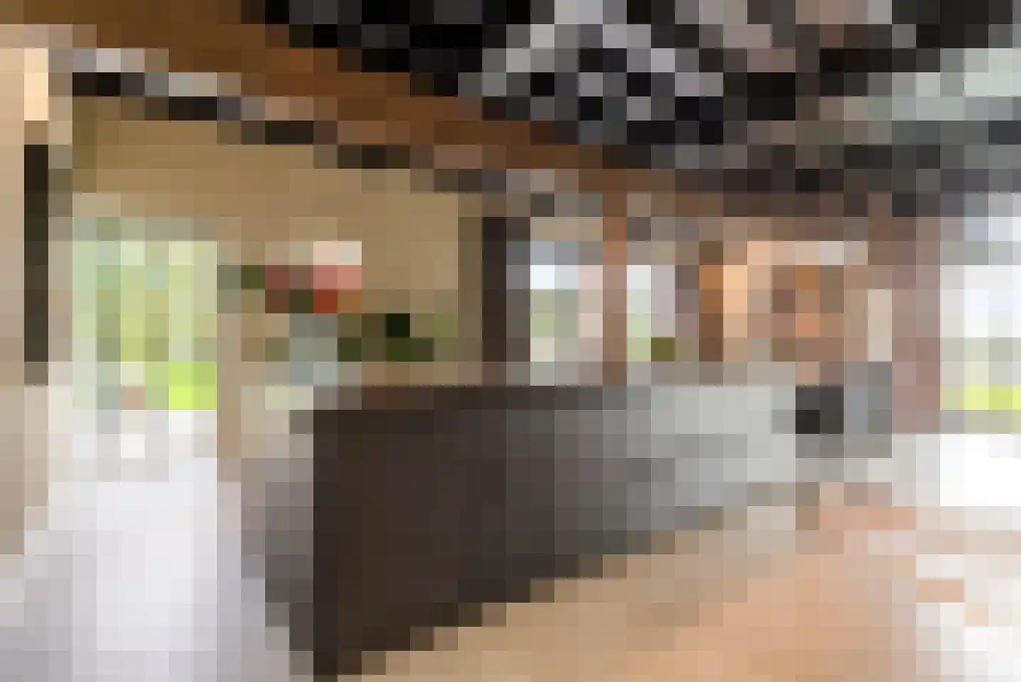 Vliertwijksestraat 50 Rosmalen thumbnail 13