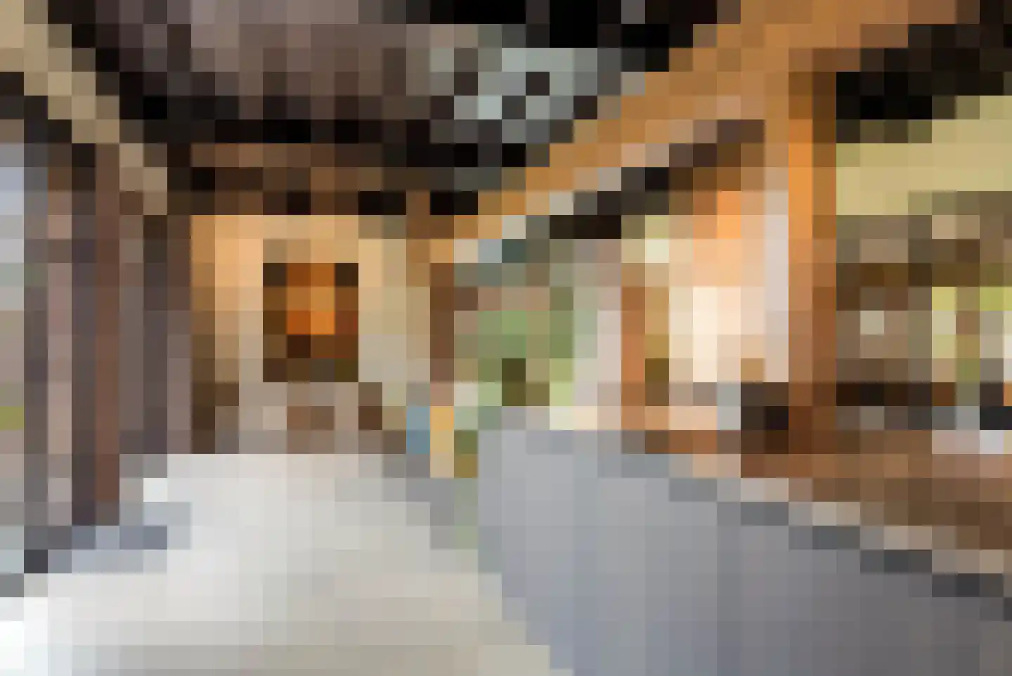 Vliertwijksestraat 50 Rosmalen thumbnail 14