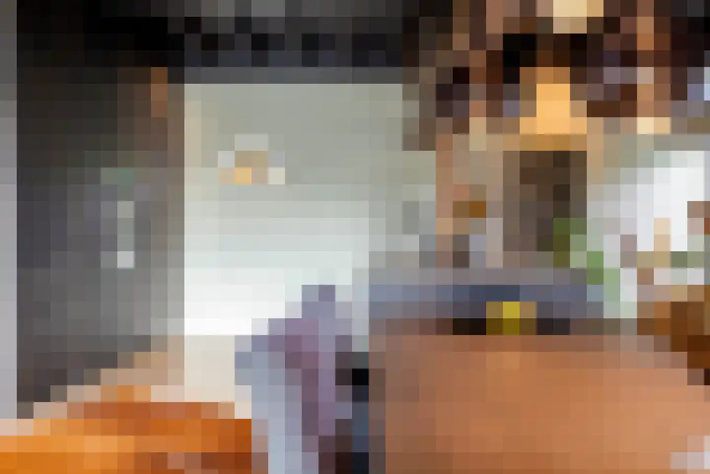 Vliertwijksestraat 50 Rosmalen thumbnail 16