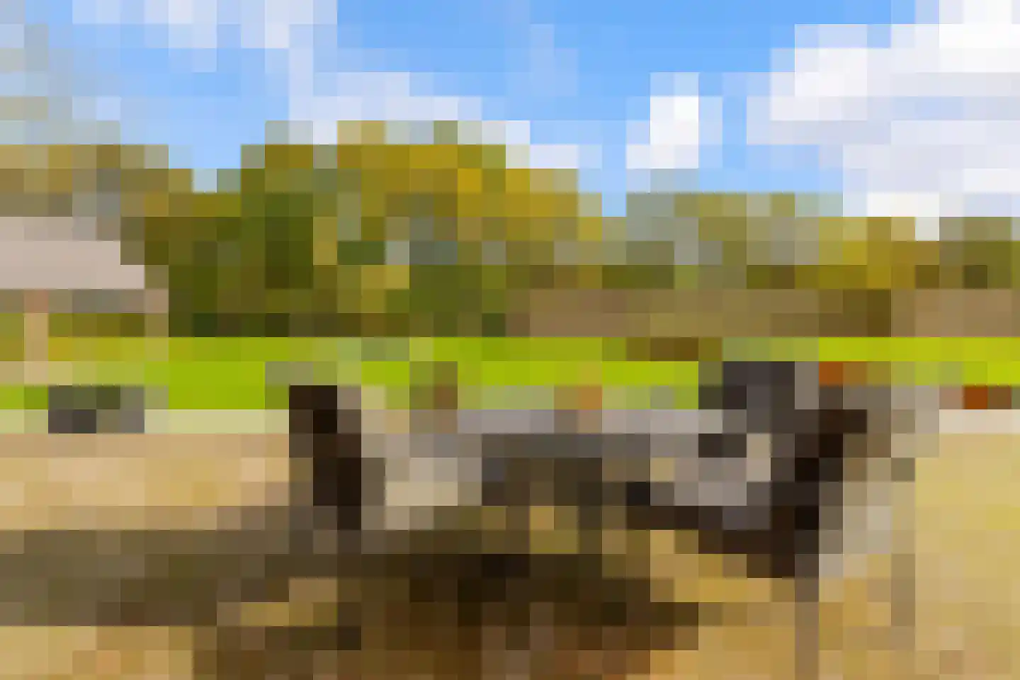 Vliertwijksestraat 50 Rosmalen thumbnail 18