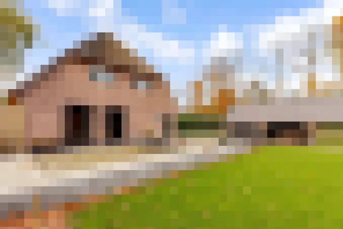Vliertwijksestraat 50 Rosmalen thumbnail 21