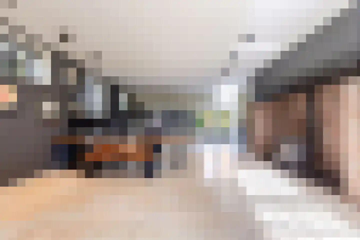 Vliertwijksestraat 50 Rosmalen thumbnail 23