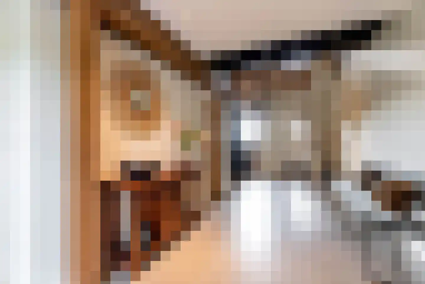 Vliertwijksestraat 50 Rosmalen thumbnail 25